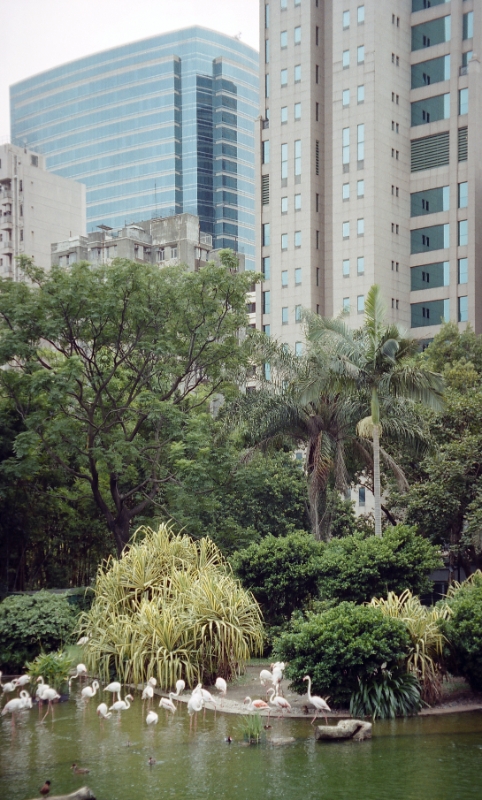 Bank of China, Hong Kong China.jpg